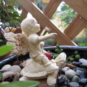 Side view of Angel, Turtle