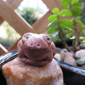 Timothy the Toad
